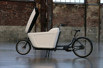 Babboe Pro Bike