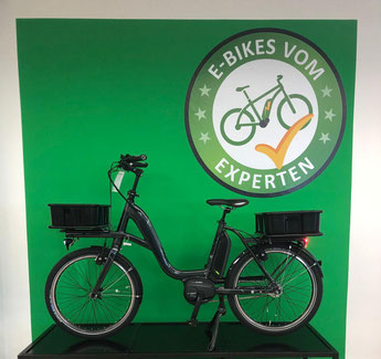 E Bike Schnappchen In Fuchstal Reduzierte E Bikes Kaufen E Motion E Bike Experten