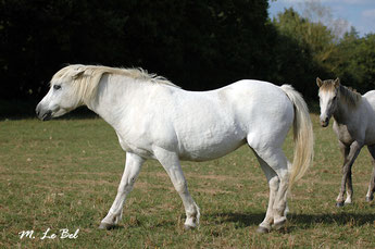 White Granite en 2005