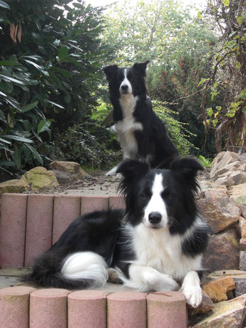 BCB At my fancy "Laura" & BCB Beautiful Sunshine "Bailey"