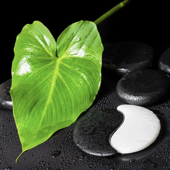 Yin und Yang ist der Ausdruck für eine gute Balance für das Wohlbefinden, Grünes Blatt mit schwarzen und weissen Stein , Zürich, Schweiz