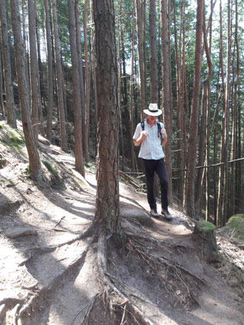 In der Natur sich selbst auf der Spur