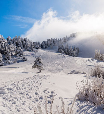 vercors station neige 