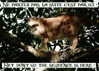 Hey, ne partez pas, la suite c'est par ici ! / Hey, don't go, the sequence is here ! / http://photos-crystal-jones.jimdo.com/