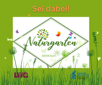 Naturgarten - sei mit dabei: Informationen bei unserem Verein!