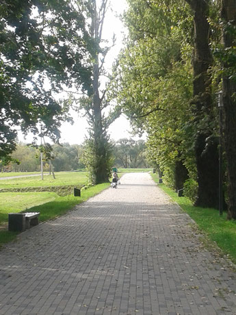 Die Allee des Todes