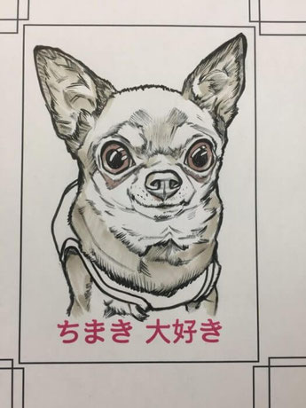 写真からペットカリカチュア8