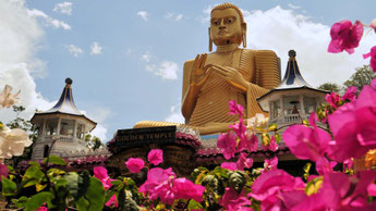 Ayurveda Wien, Ayurveda Massage, Wellness Wien, sri-lankische Massage, Ganzkörpermassage, Entspannung, Kräuteröl-TherapieNachhaltiger Tourismus Sri Lanka, Umweltberatung, ökologische Reisen, RE-environment, Kreislaufwirtschaft, maßgeschneiderte Touren, Ho