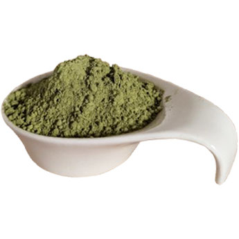 Matcha Tee Pulver