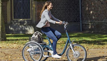 Van Raam Maxi Dreirad Elektro-Dreirad in Gießen und kaufen