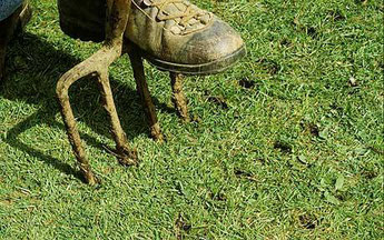 Aerating with a garden fork