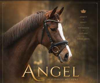 Angel Eyes