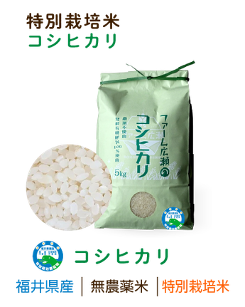 こだわりの無農薬米 - 福井の無農薬米通販 ファーム広瀬(米の駅) こだわりの無農薬米 - 福井の無農薬米通販 ファーム広瀬(米の駅)