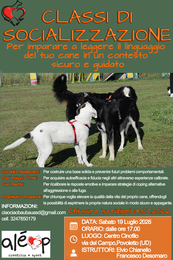 30 Maggio 2026 | Classe di Socializzazione Educativa