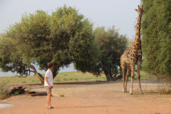 Parc de Chobé