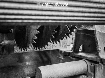 Urban; Urbex; Lost-Place; alt; verlassen; Old; Fotograf; Fotografie; Lenninger Tal; Lenningen; Mühle; Wasserkraft; Gutenberg