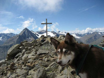 Auf dem "Wilden Mannle" (3.020 m)