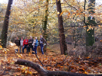 Herbstwald in voller Pracht