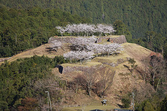 Akagi Castle Ruins (Akagijouato)