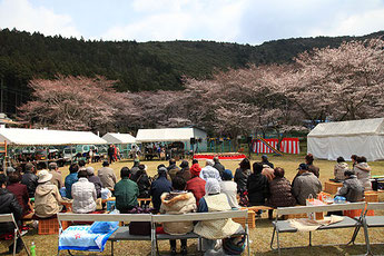 Komori Cherry Blossom Festival