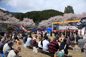 Home of the Nachi Black Stone,  Kumano Kamikawa Cherry Blossom Festival