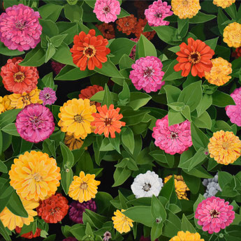 Andrew Woodward, "Wallflowers"