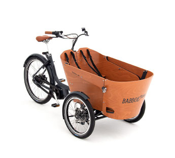 Babboe Lastenfahrrad mit Elektromotor Flow Mountain 2021