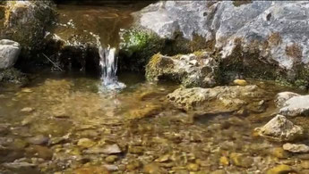 Sprudelnde Quelle mit klarem Wasser