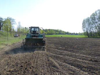 Mit unserer Sämaschine Amazone bringen wir das Getreide in den Boden ein. Die Drillmaschine funktioniert gut. Hafer und Sommer-Gerste haben wir in diesem Frühjahr gesät.