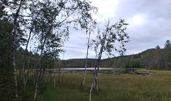 Les eaux et forêts, une association indispensable pour affronter le changement climatique.