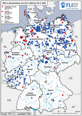 Deutschlandkarte, auf der nachgewiesene Fälle von Vogelgrippe-Infektionen bei Wildvögeln und in Geflügelhaltungen markiert sind