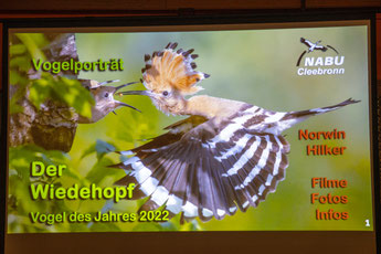 Vortrag "Wiedehopf - Vogel des Jahres 2022" (Foto: B. Budig)
