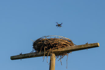 Drohnenflug über Storchennisthilfe (Foto: B. Budig)