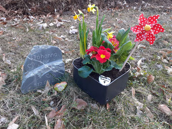 Geburtstagsblumen bei Johannas Grab von ihrer Oma