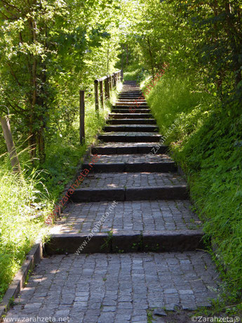 Steintreppe im Wald