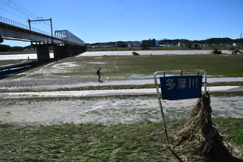 写真6　10月13日11:20頃の京王相模原線多摩川（稲田堤）橋梁付近（大里重人氏撮影）