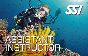 SSI Professional - Assistant Instructor