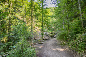 Sichere Wanderwege für die ganze Familie in Bad Kreuzen