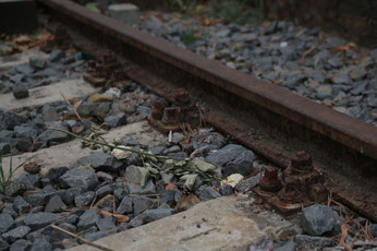 gleis69-tanz-theater-dialoges Webseite!