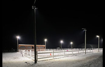 Wetterfeste LED-Sportbeleuchtung für optimale Bedingungen auf Reitanlagen