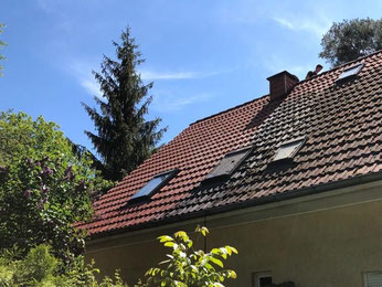 Moosbefall auf einem Dach in Brandenburg und blauer Himmel.