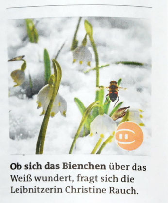 gesehen in der Leibnitzer "WOCHE" am 4.4.2013