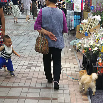 ポン太に駆け寄る男の子が!