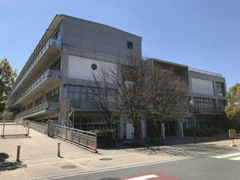 ホーム Hamarz ページ