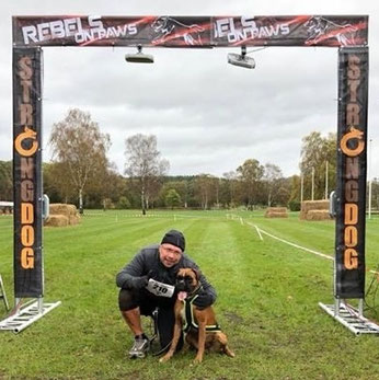 strong dog Boxer Hund vonderwaldnielerheide 
