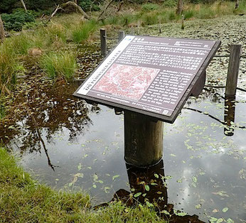 池の説明板