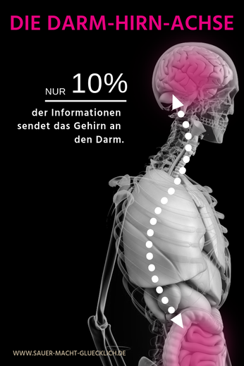 Darmbeschwerden: Die neue verkannte Volkskrankheit und wie du sie in den Griff bekommst