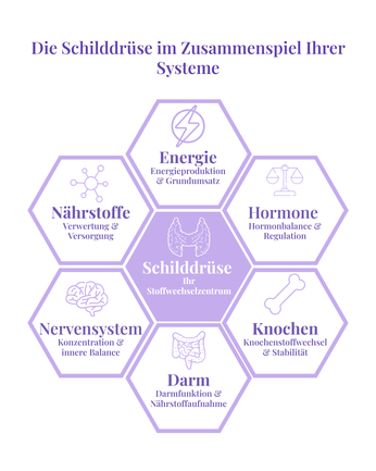 Schilddrüse als zentrales Stoffwechselorgan im Zusammenspiel mit Hormonen, Darm und Nervensystem