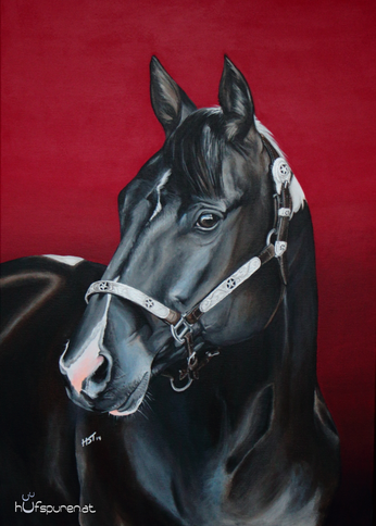 "SH Cheyenne", Acryl auf Leinwand 70x50