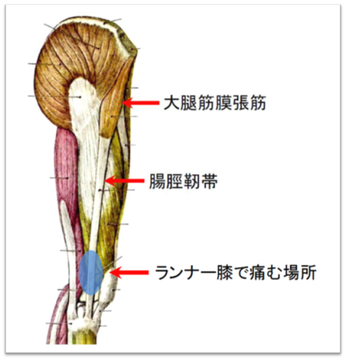 ランナー膝　松戸市　新松戸　ポプラはりきゅう整骨院